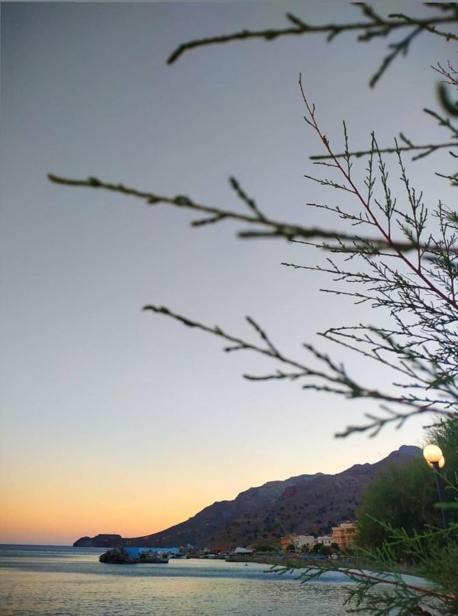 Orionas Tsoutsouros (Crete)