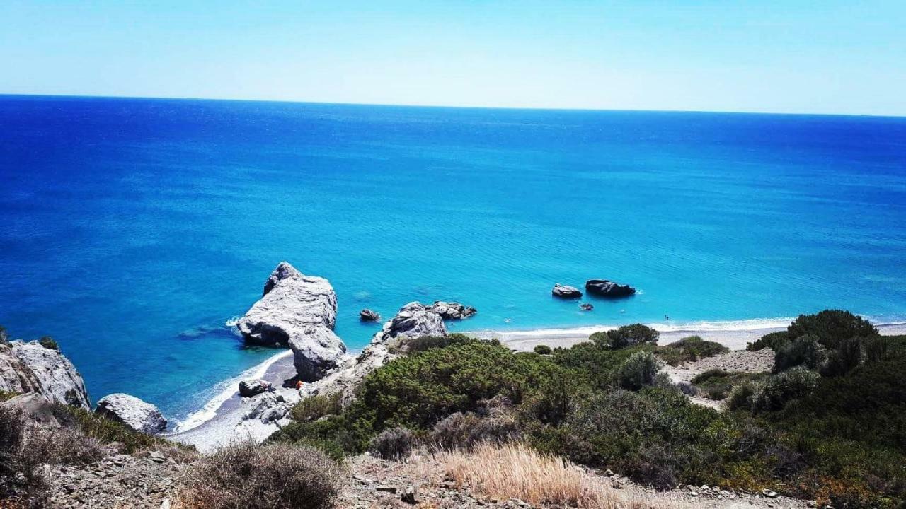 Orionas