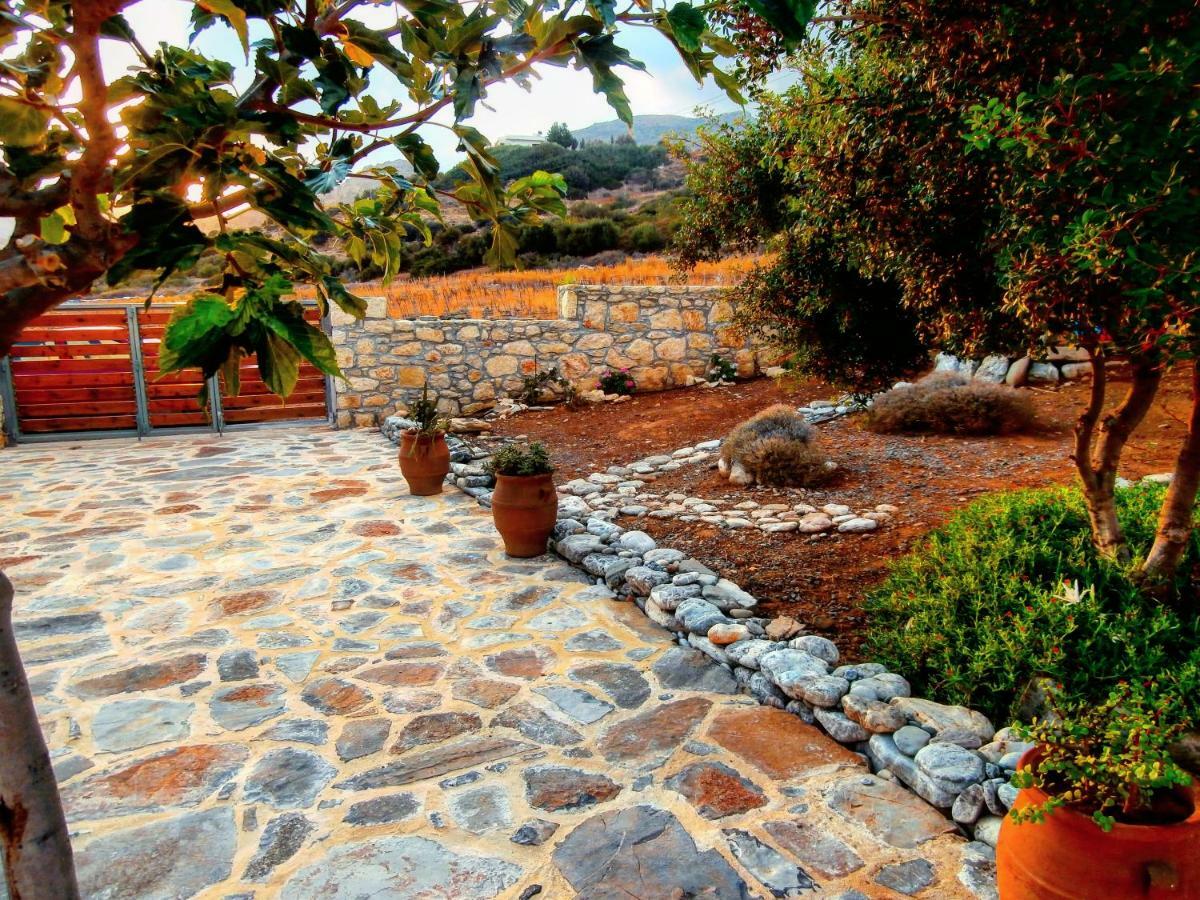 Orionas Holiday home Tsoutsouros (Crete)