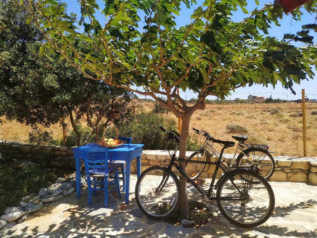 Orionas Holiday home Tsoutsouros (Crete)